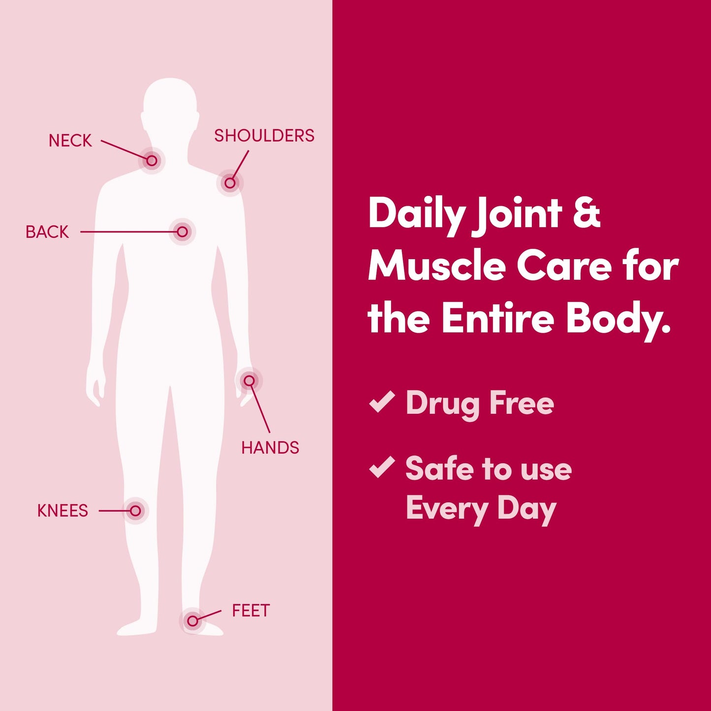 Penetrex Joint & Muscle Therapy - Soothing Comfort for Back, Neck, Hands, Feet - Premium Whole Body Rub with Arnica, Vitamin B6 MSM & Boswellia - Non-Greasy 2oz Cream