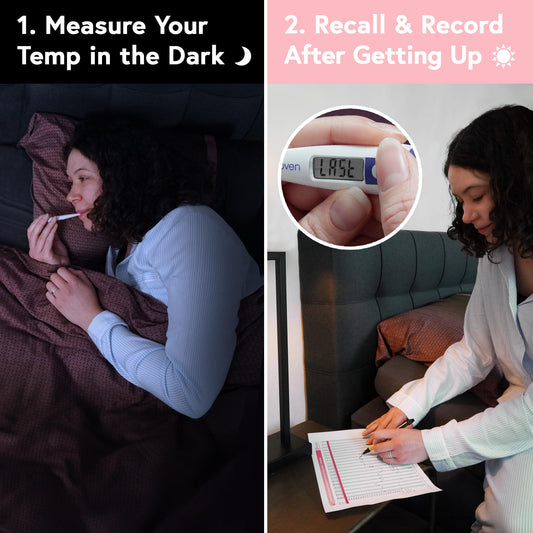 Digital Basal Body Thermometer, 1/100th Degree High Precision, Quick 60-Sec Reading, Memory Recall, Accurate BBT Thermometer for Natural Ovulation Tracking by iProven