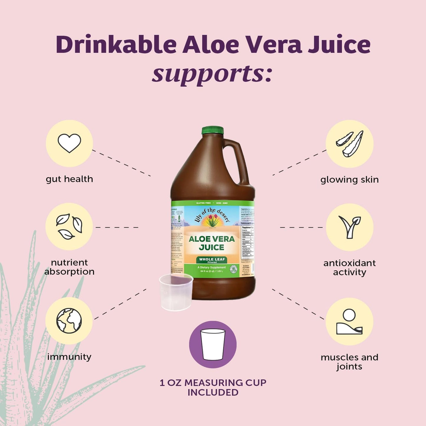 Lily Of The Desert Aloe Vera Juice - Whole Leaf Filtered Aloe Vera Drink, Non-GMO Aloe Juice with Natural Digestive Enzymes for Gut Health, Stomach Relief, Wellness, Glowing Skin, 64 Fl Oz
