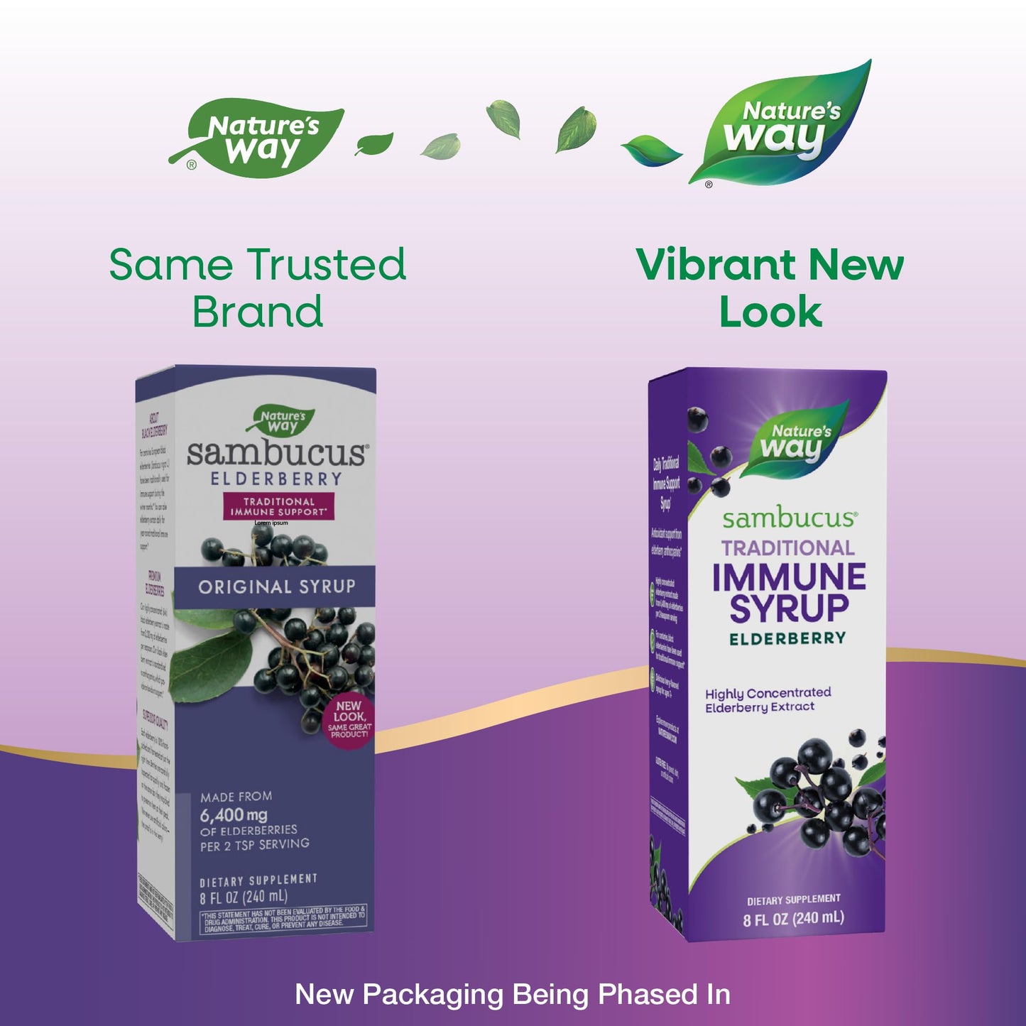 Nature’s Way Sambucus Elderberry Traditional Immune Syrup, Highly Concentrated Black Elderberry Extract, Traditional Immune Support*, Delicious Berry Flavored, 8 Fl Oz (Packaging May Vary)