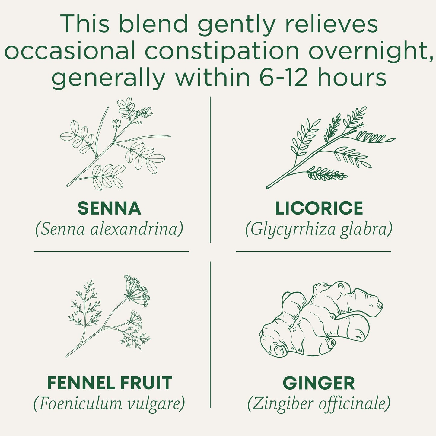 Traditional Medicinals Tea, Organic Smooth Move, Relieves Occasional Constipation, Senna - 48 Tea Bags